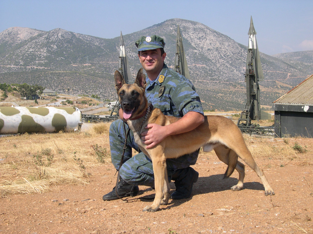 military-working-dog-expert