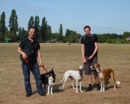 Clinical Animal Behaviour  Dog Training